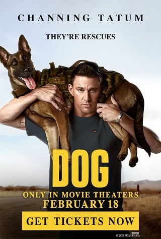 Dog (2022) เพื่อนกันพันธุ์ห้าว - ดูหนังออนไลน์ฟรี HD