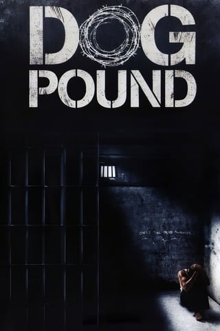 Dog Pound (2010) - ดูหนังออนไลน์ฟรี HD