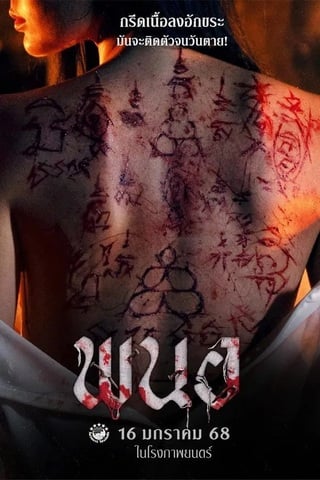 พนอ (2025) PANOR