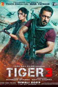 Tiger 3 (2024) เรียกข้าว่าเสือ 3